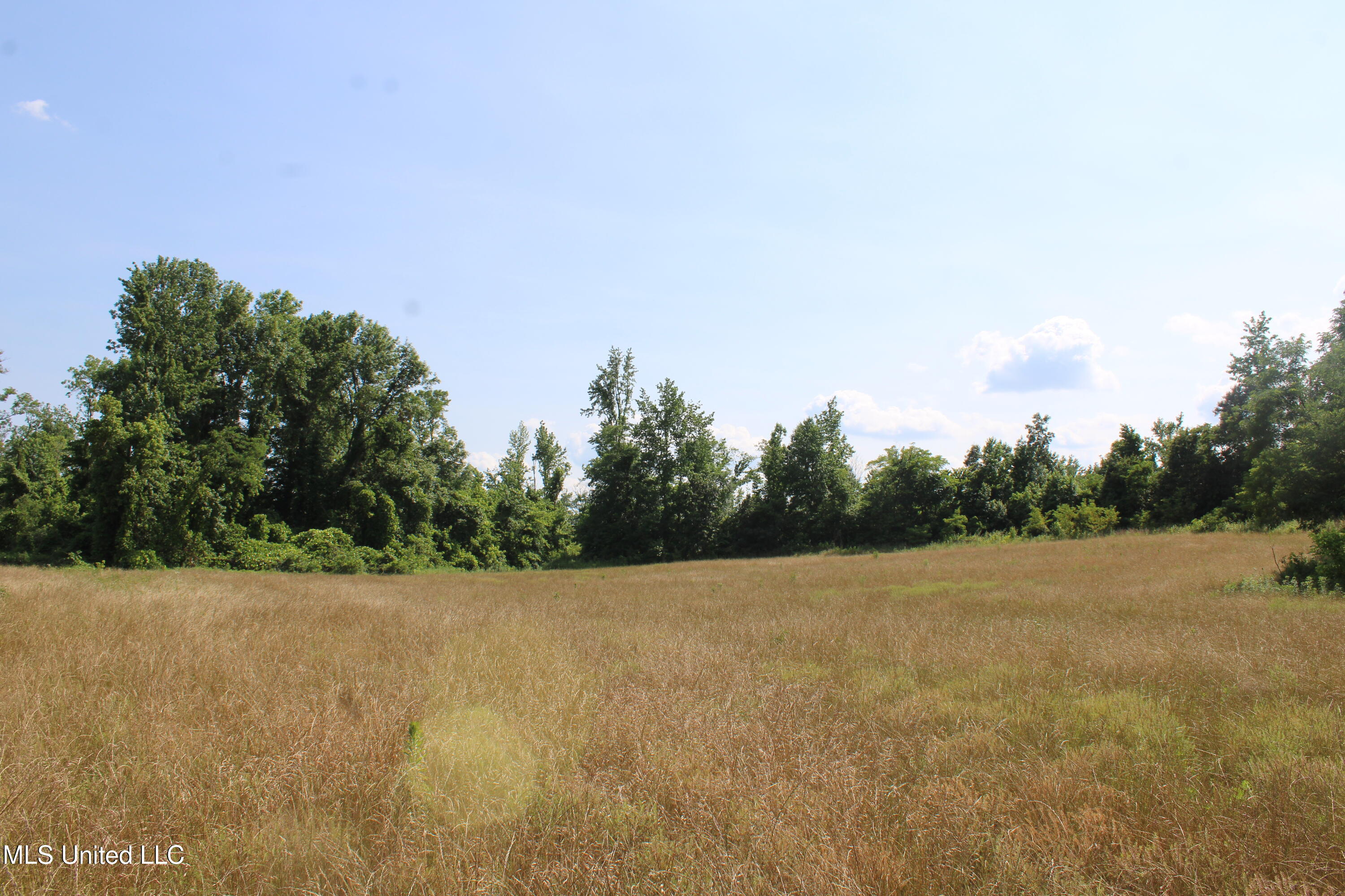 101 Baldwin Road South Lake Cormorant, MS 38641 - Photo 24 of 46 IMG_6159
