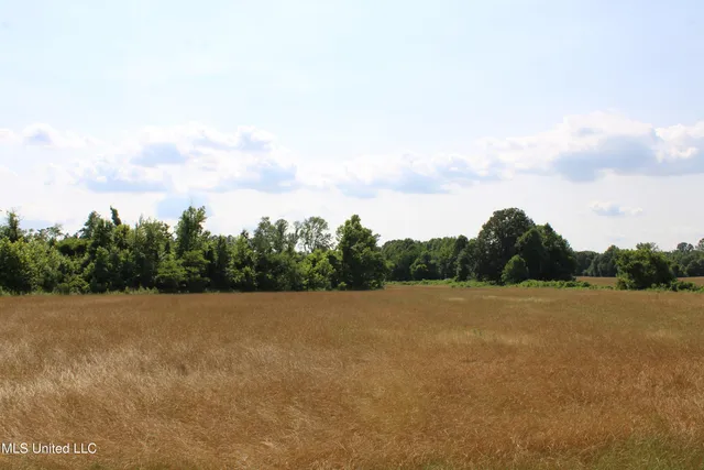 $199,000 | 101 Baldwin Road South, Lake Cormorant, MS 38641