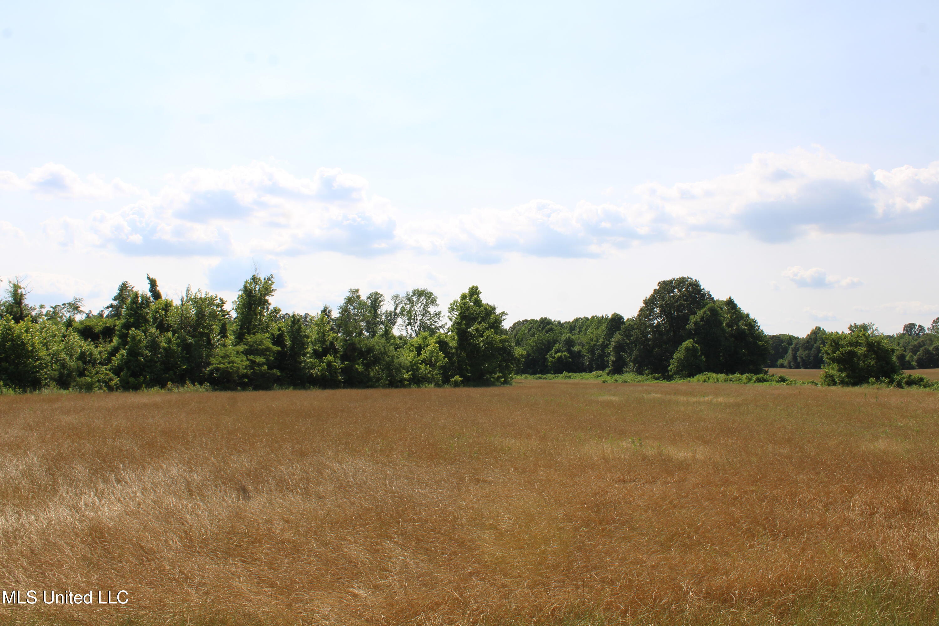 101 Baldwin Road South Lake Cormorant, MS 38641 - Photo 25 of 46 IMG_6162