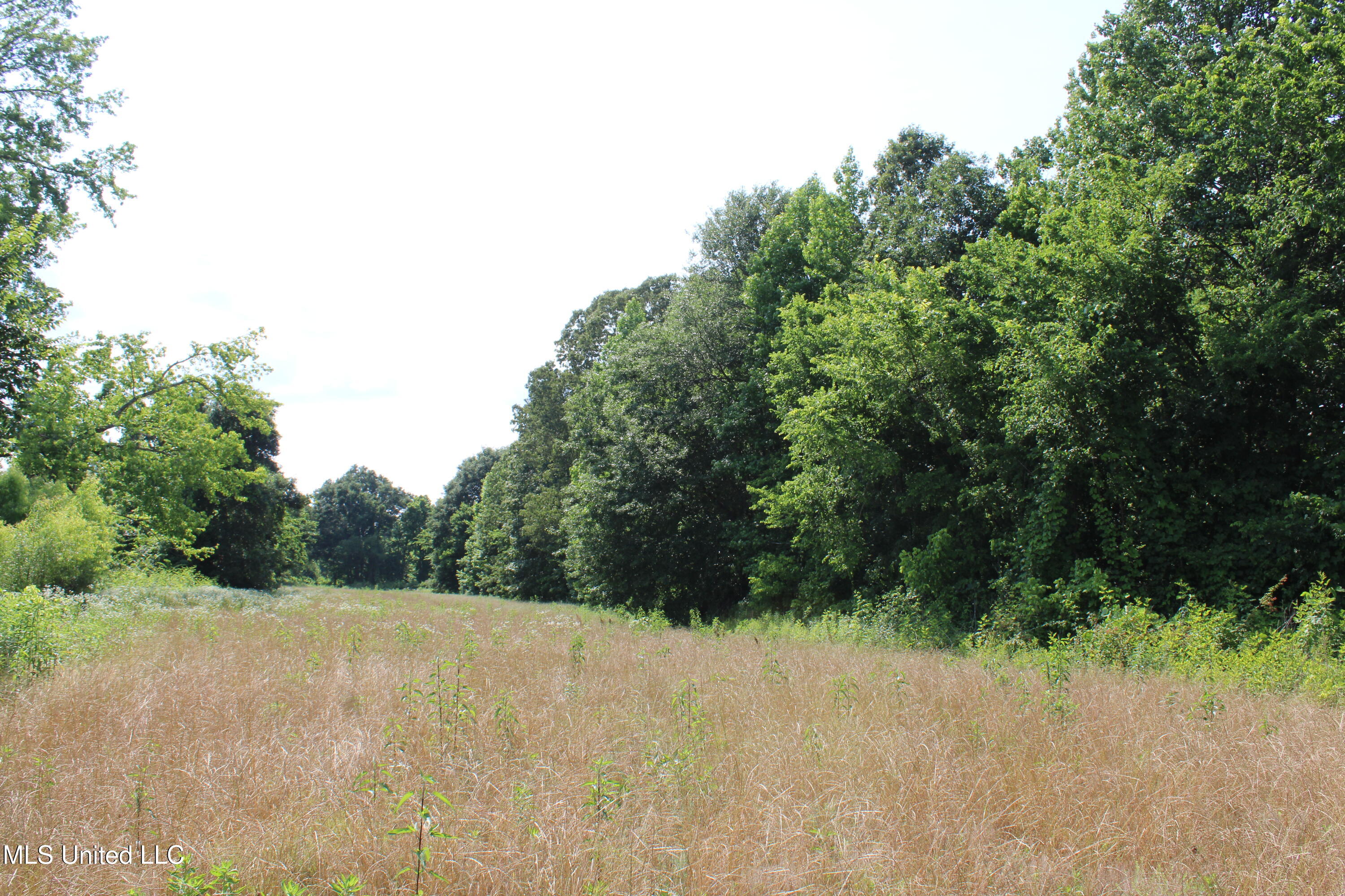 101 Baldwin Road South Lake Cormorant, MS 38641 - Photo 26 of 46 IMG_6163