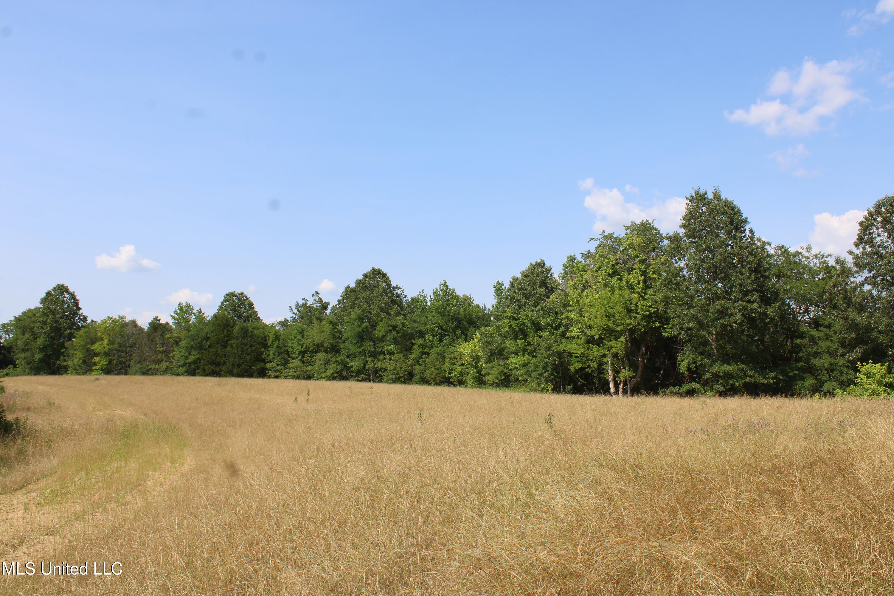 101 Baldwin Road South Lake Cormorant, MS 38641 - Photo 28 of 46 IMG_6165