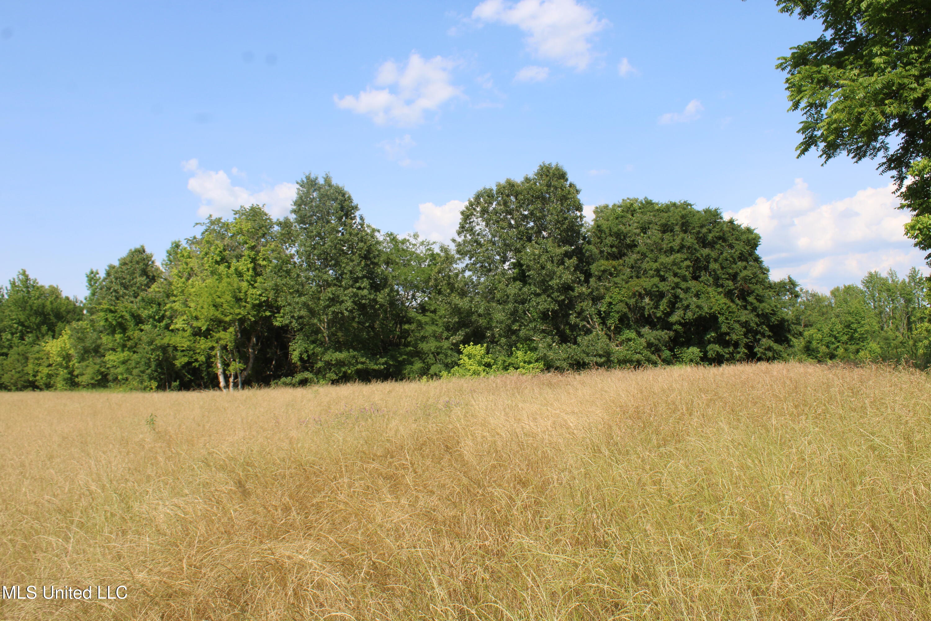 101 Baldwin Road South Lake Cormorant, MS 38641 - Photo 29 of 46 IMG_6166