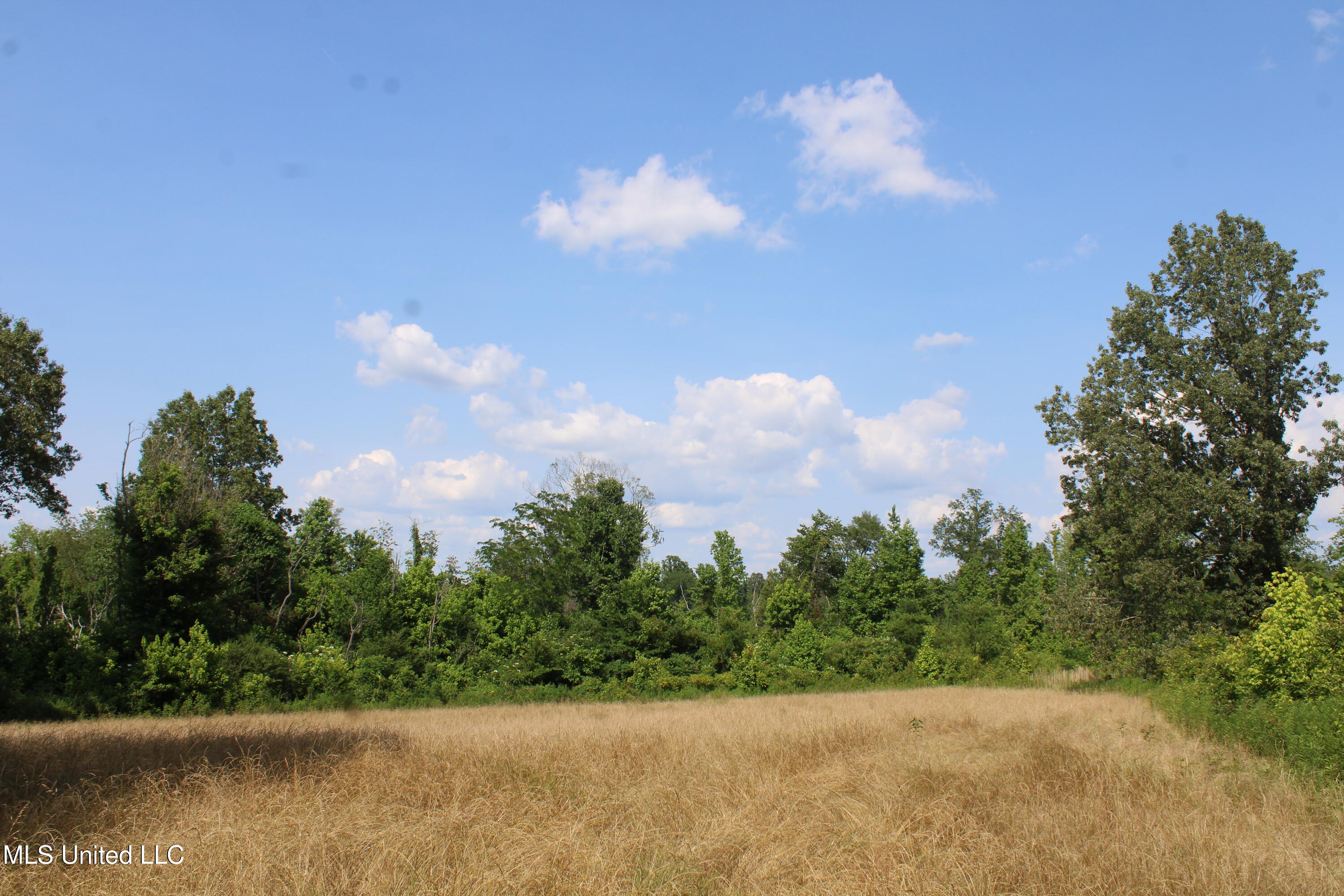 101 Baldwin Road South Lake Cormorant, MS 38641 - Photo 30 of 46 IMG_6167