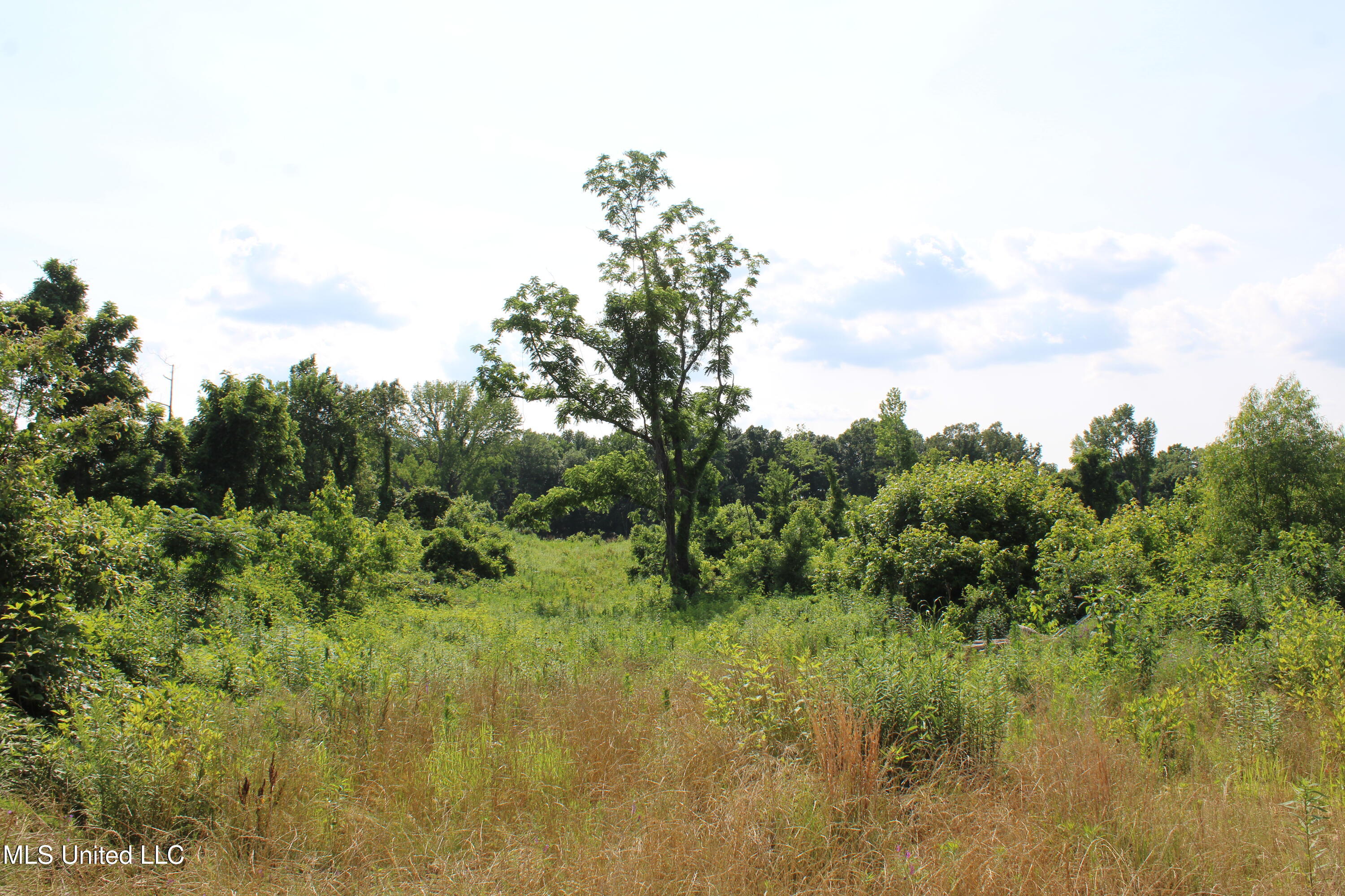 101 Baldwin Road South Lake Cormorant, MS 38641 - Photo 31 of 46 IMG_6168