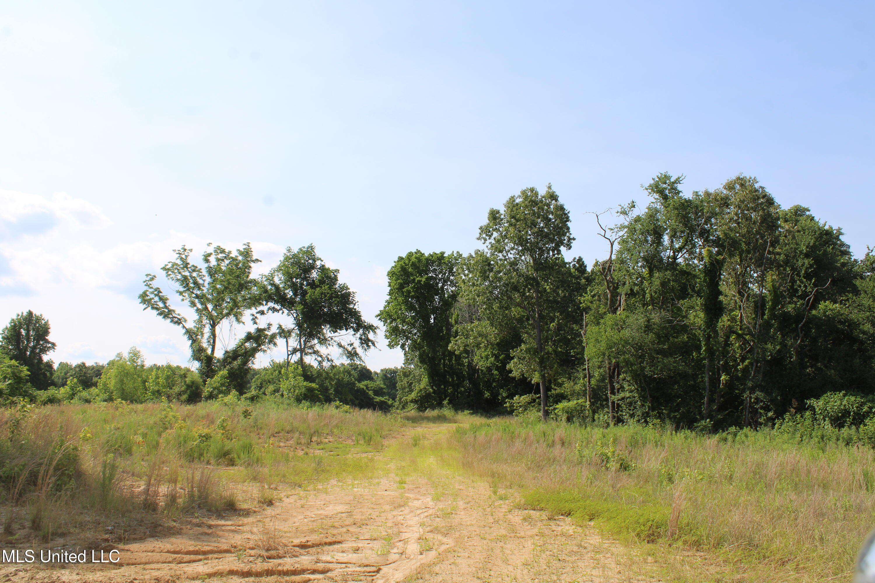 101 Baldwin Road South Lake Cormorant, MS 38641 - Photo 33 of 46 IMG_6170