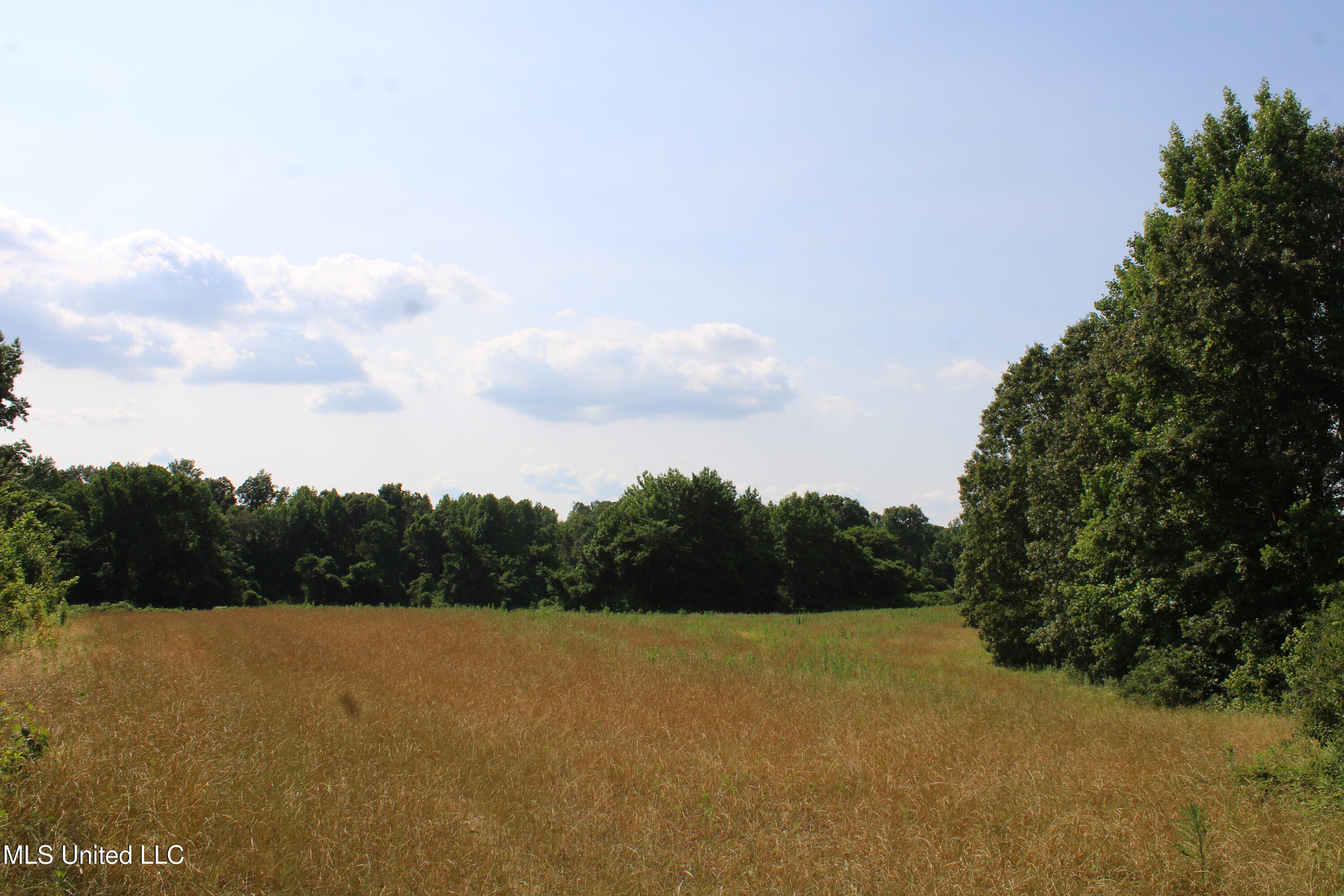 101 Baldwin Road South Lake Cormorant, MS 38641 - Photo 34 of 46 IMG_6171