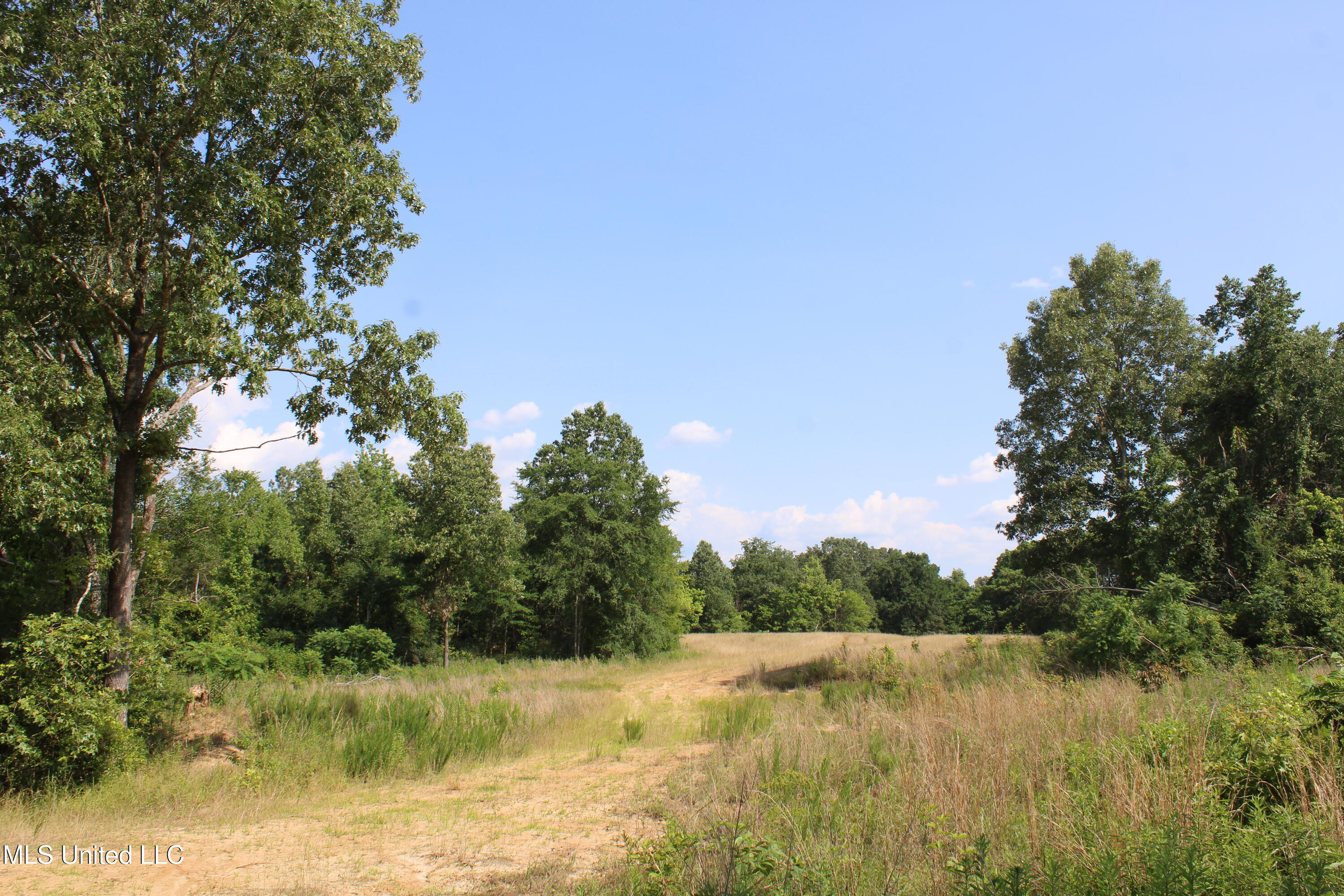 101 Baldwin Road South Lake Cormorant, MS 38641 - Photo 35 of 46 IMG_6172