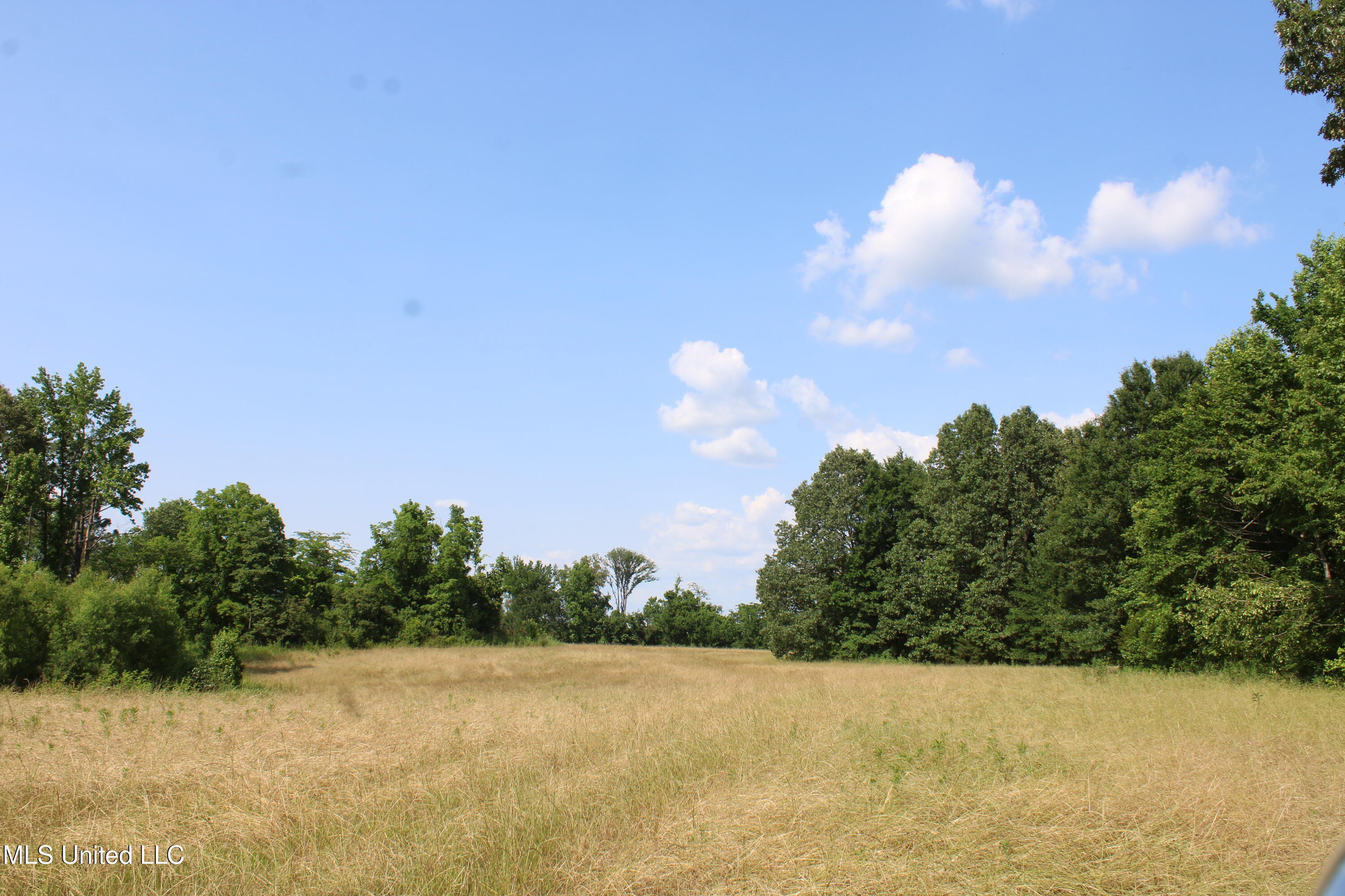 101 Baldwin Road South Lake Cormorant, MS 38641 - Photo 36 of 46 IMG_6173