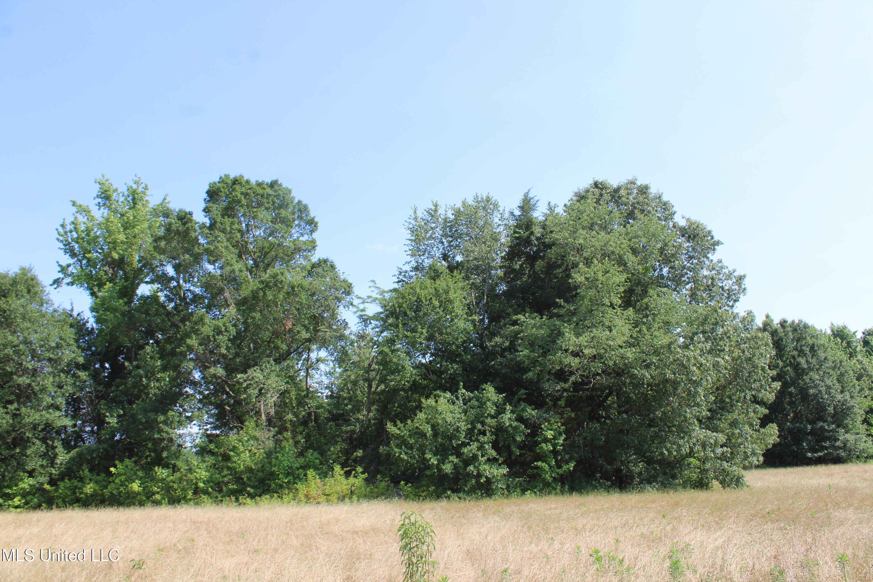 101 Baldwin Road South Lake Cormorant, MS 38641 - Photo 38 of 46 IMG_6175