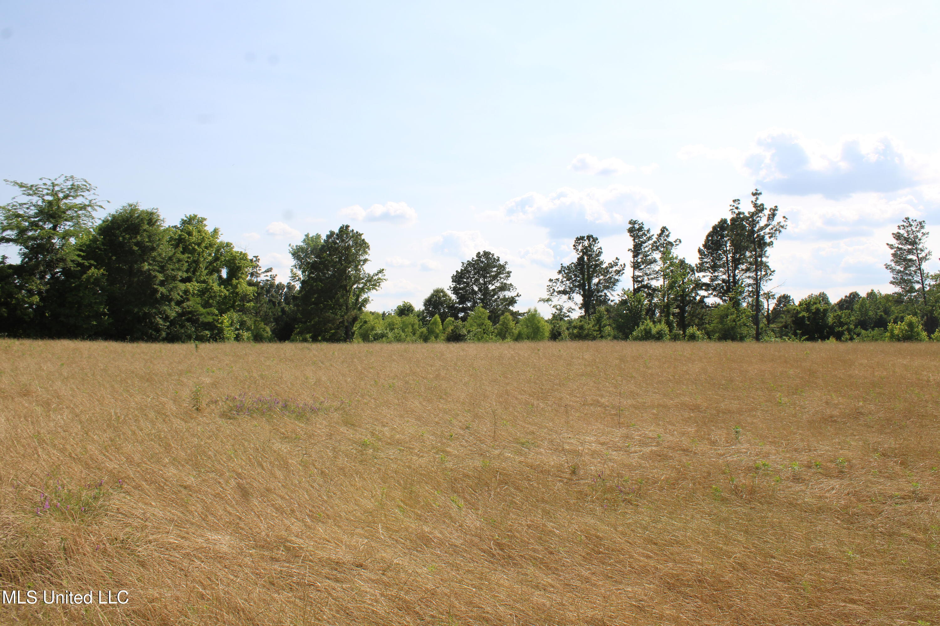 101 Baldwin Road South Lake Cormorant, MS 38641 - Photo 41 of 46 IMG_6178