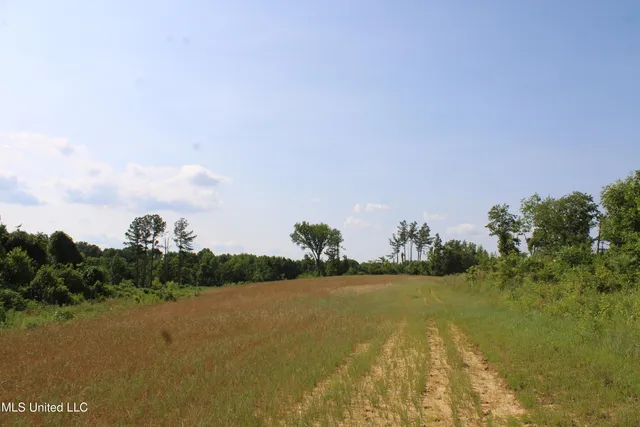 $199,000 | 101 Baldwin Road South, Lake Cormorant, MS 38641