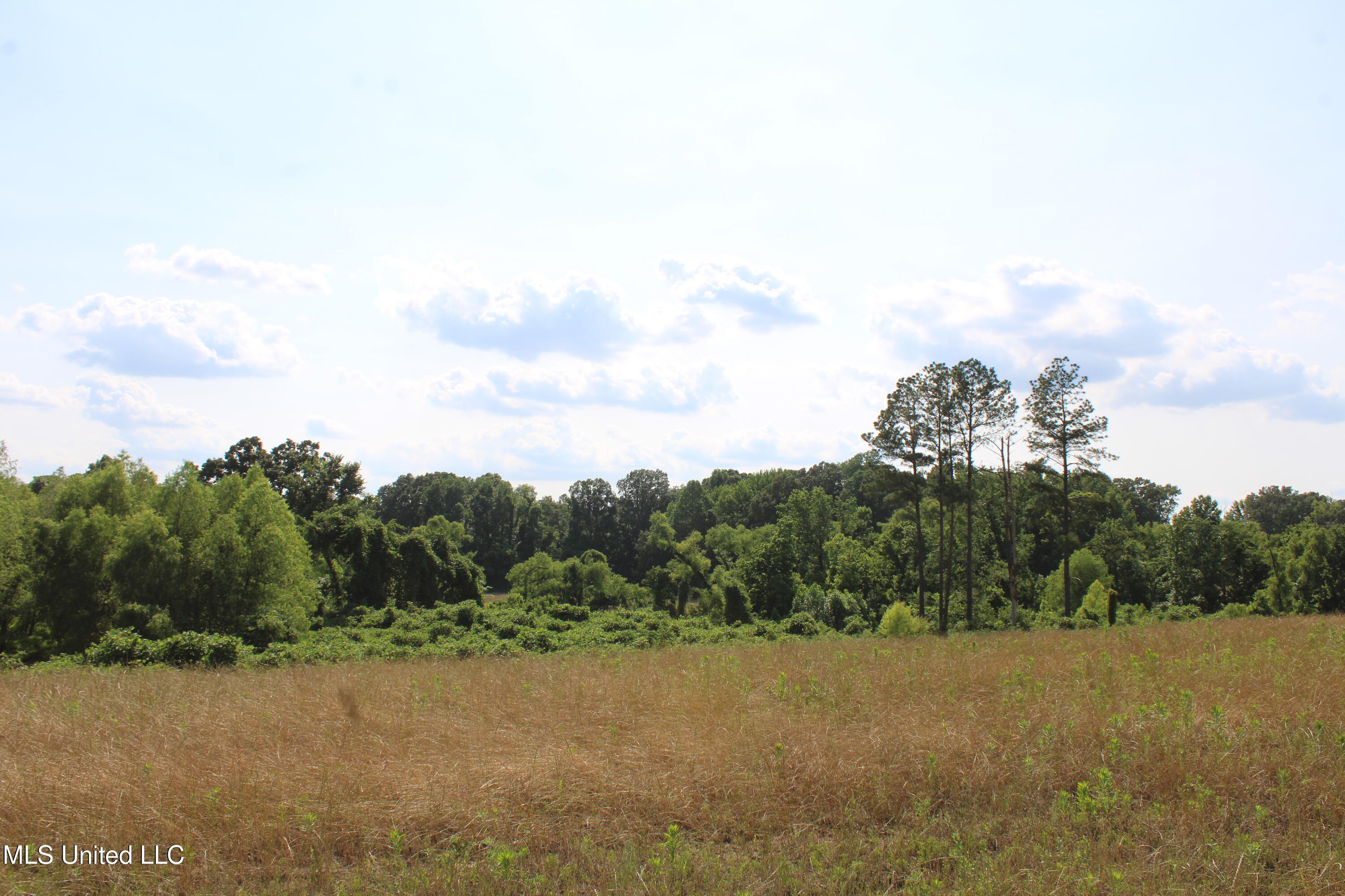 101 Baldwin Road South Lake Cormorant, MS 38641 - Photo 43 of 46 IMG_6180