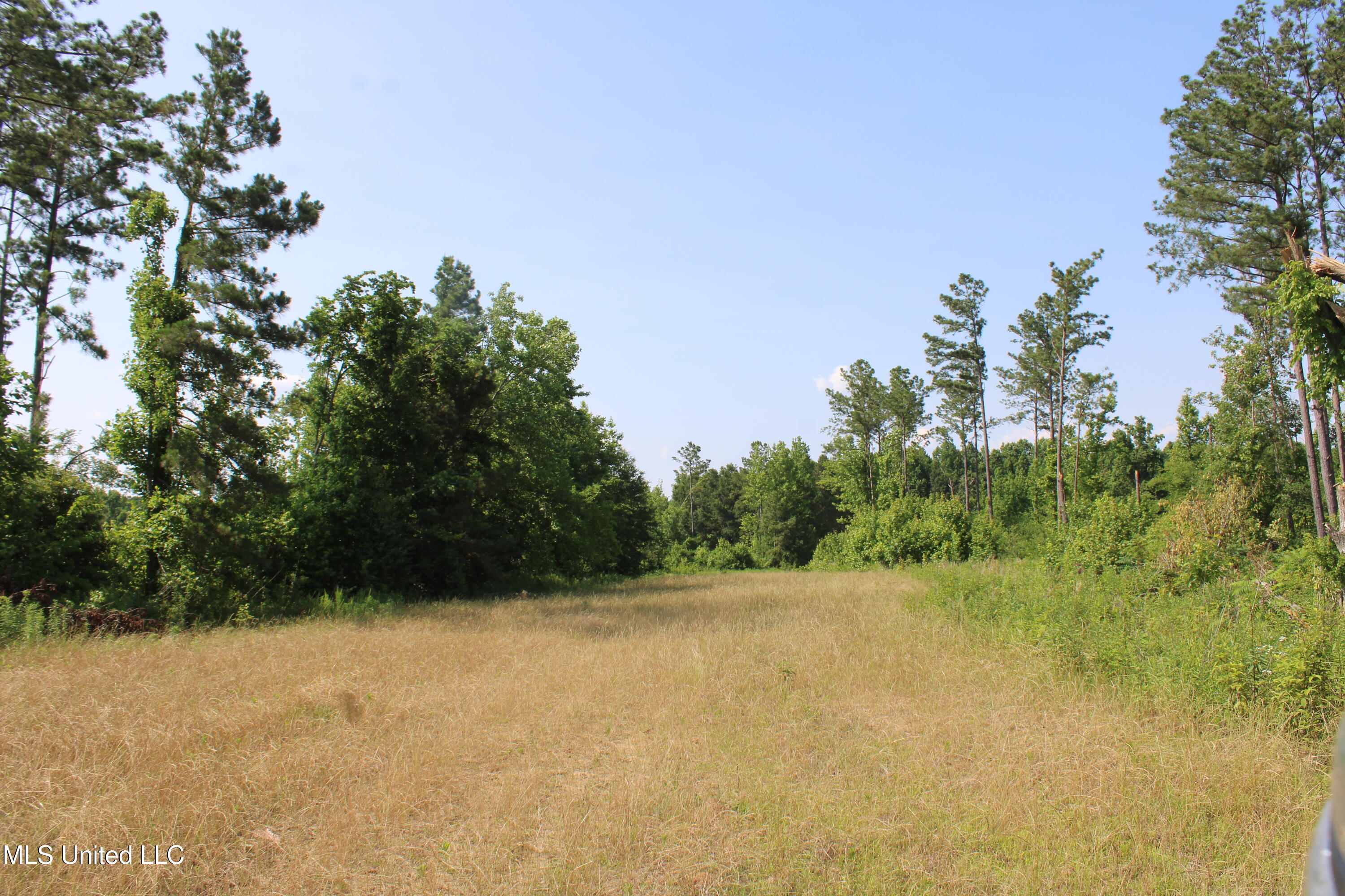 101 Baldwin Road South Lake Cormorant, MS 38641 - Photo 44 of 46 IMG_6181