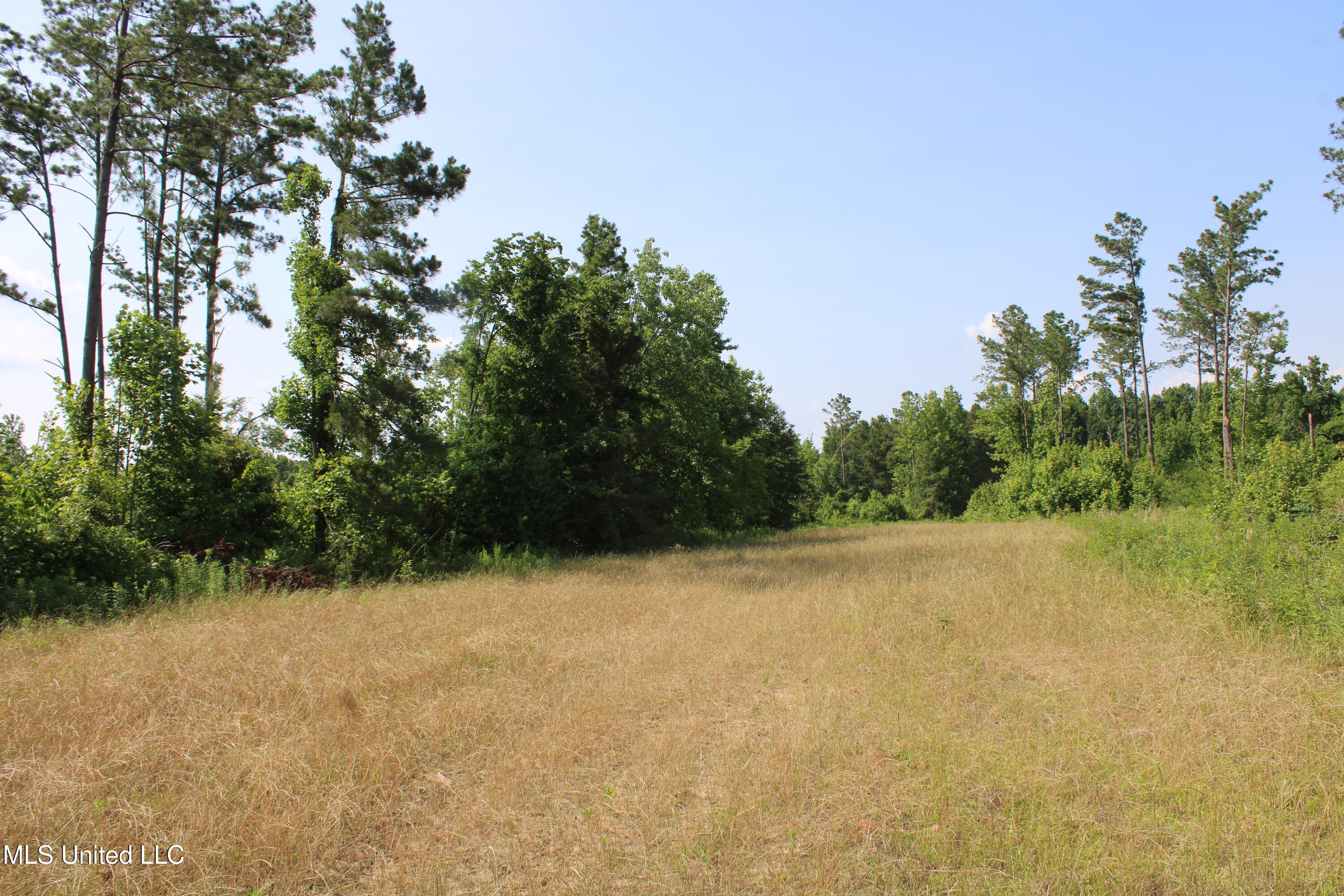 101 Baldwin Road South Lake Cormorant, MS 38641 - Photo 45 of 46 IMG_6182