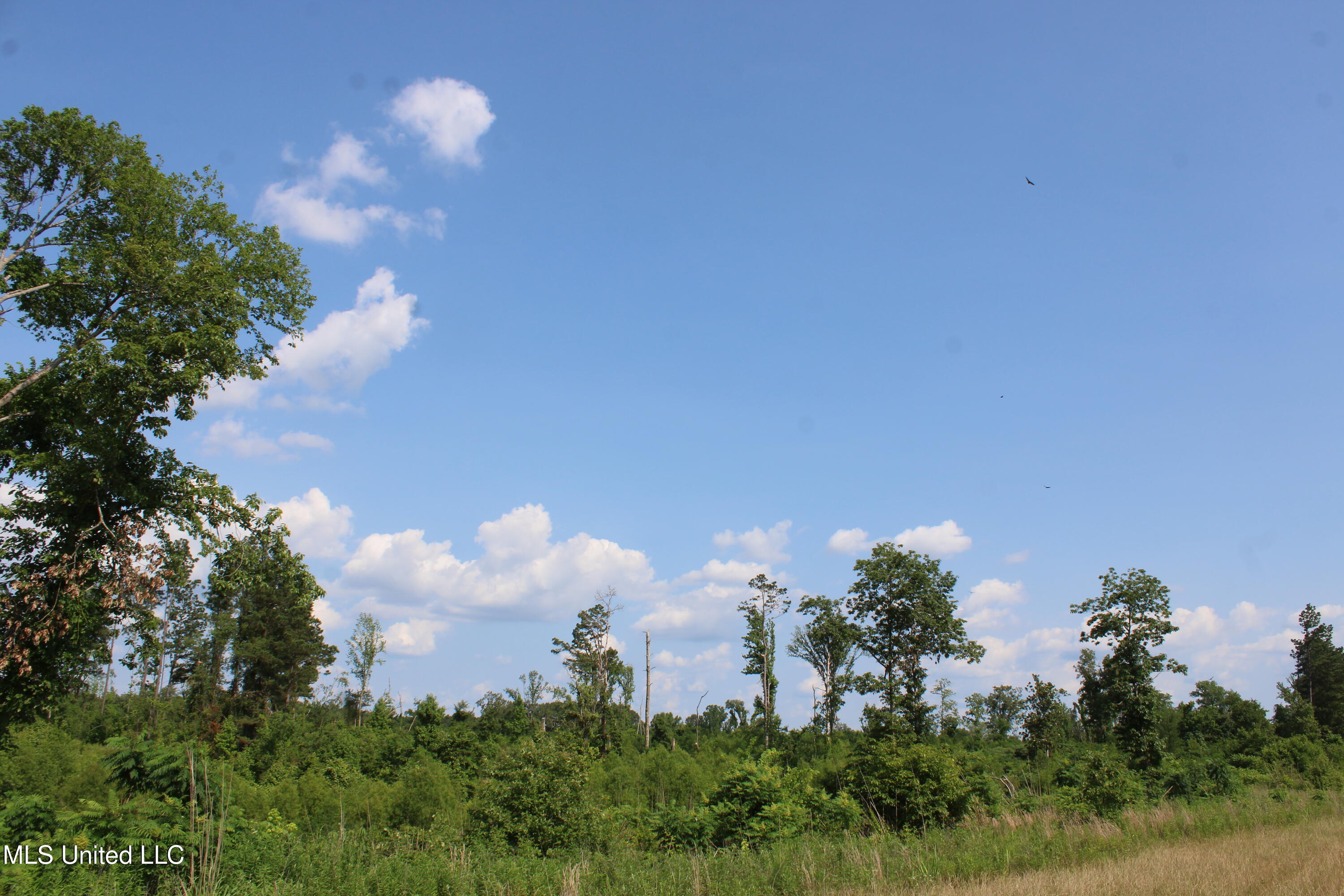 101 Baldwin Road South Lake Cormorant, MS 38641 - Photo 46 of 46 IMG_6183