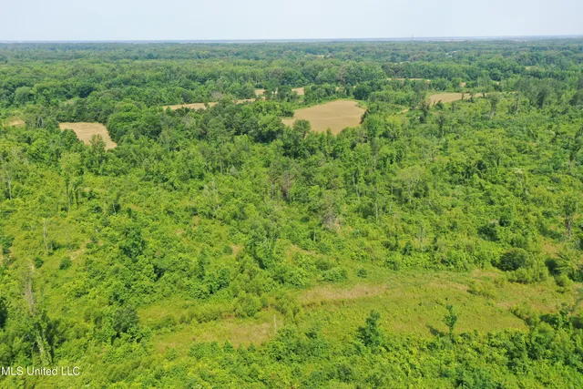 $199,000 | 101 Baldwin Road South, Lake Cormorant, MS 38641