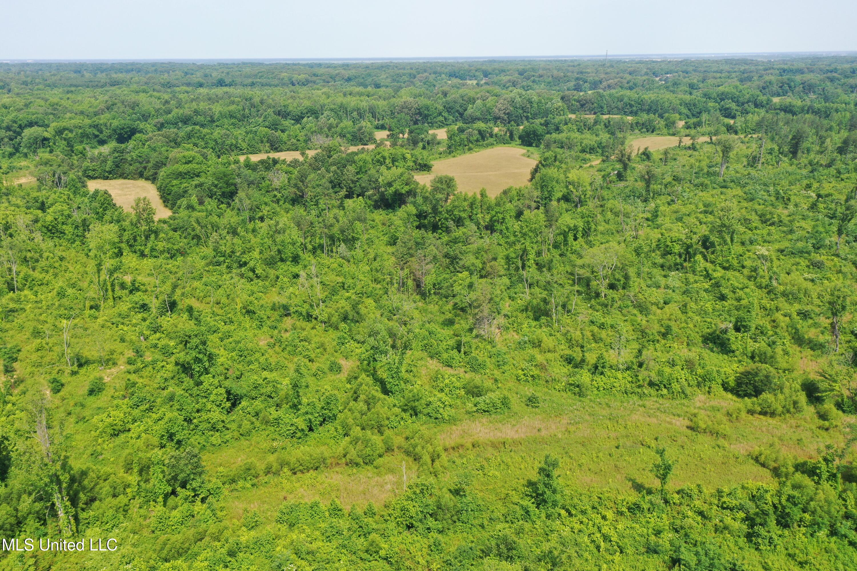 101 Baldwin Road South Lake Cormorant, MS 38641 - Photo 5 of 46 DJI_0683