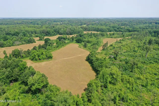 $199,000 | 101 Baldwin Road South, Lake Cormorant, MS 38641