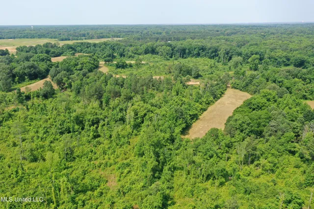 $199,000 | 101 Baldwin Road South, Lake Cormorant, MS 38641