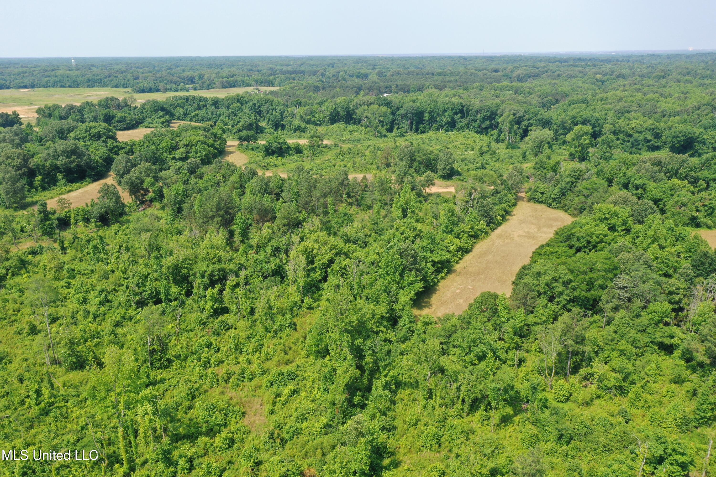 101 Baldwin Road South Lake Cormorant, MS 38641 - Photo 7 of 46 DJI_0685