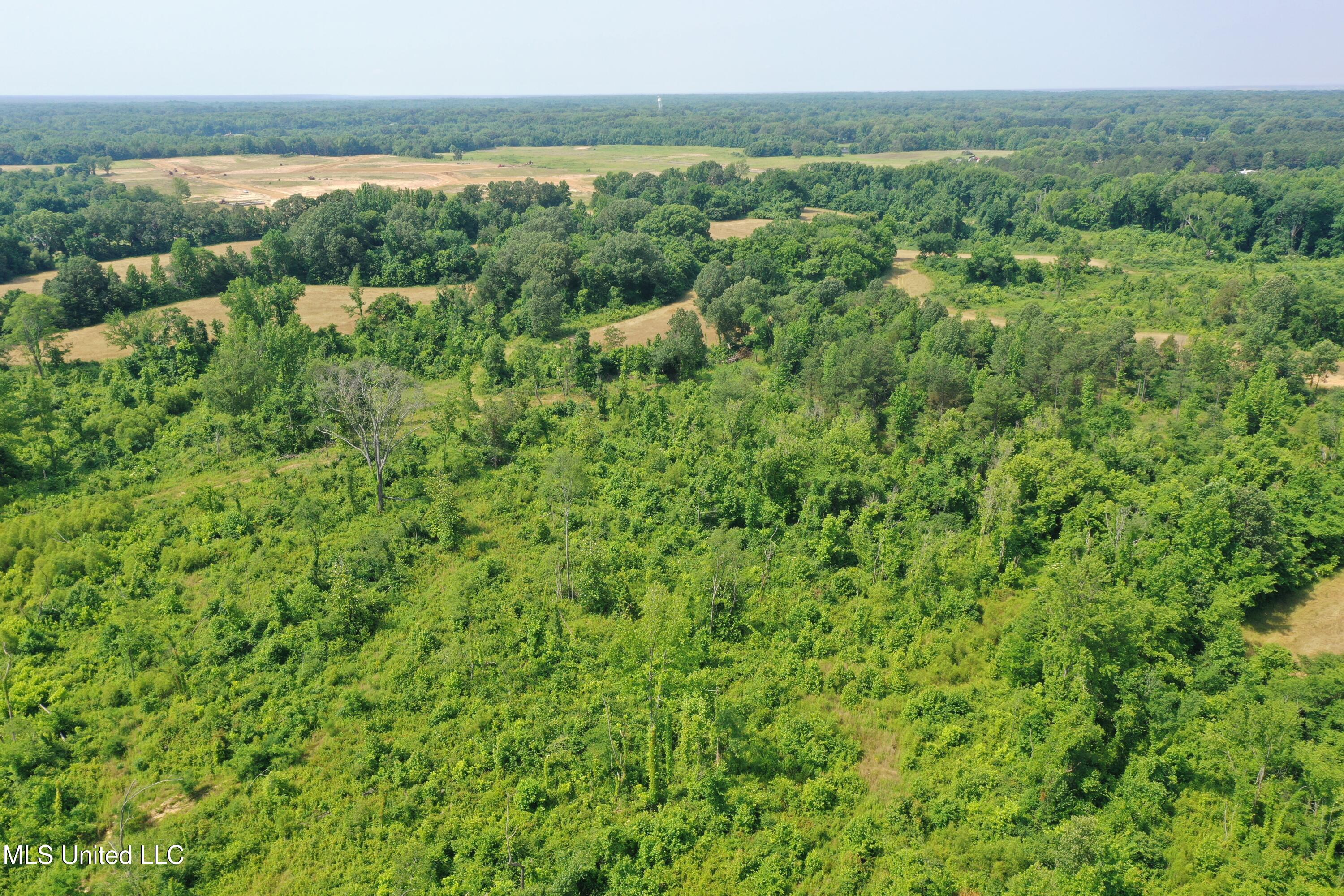 101 Baldwin Road South Lake Cormorant, MS 38641 - Photo 8 of 46 DJI_0686