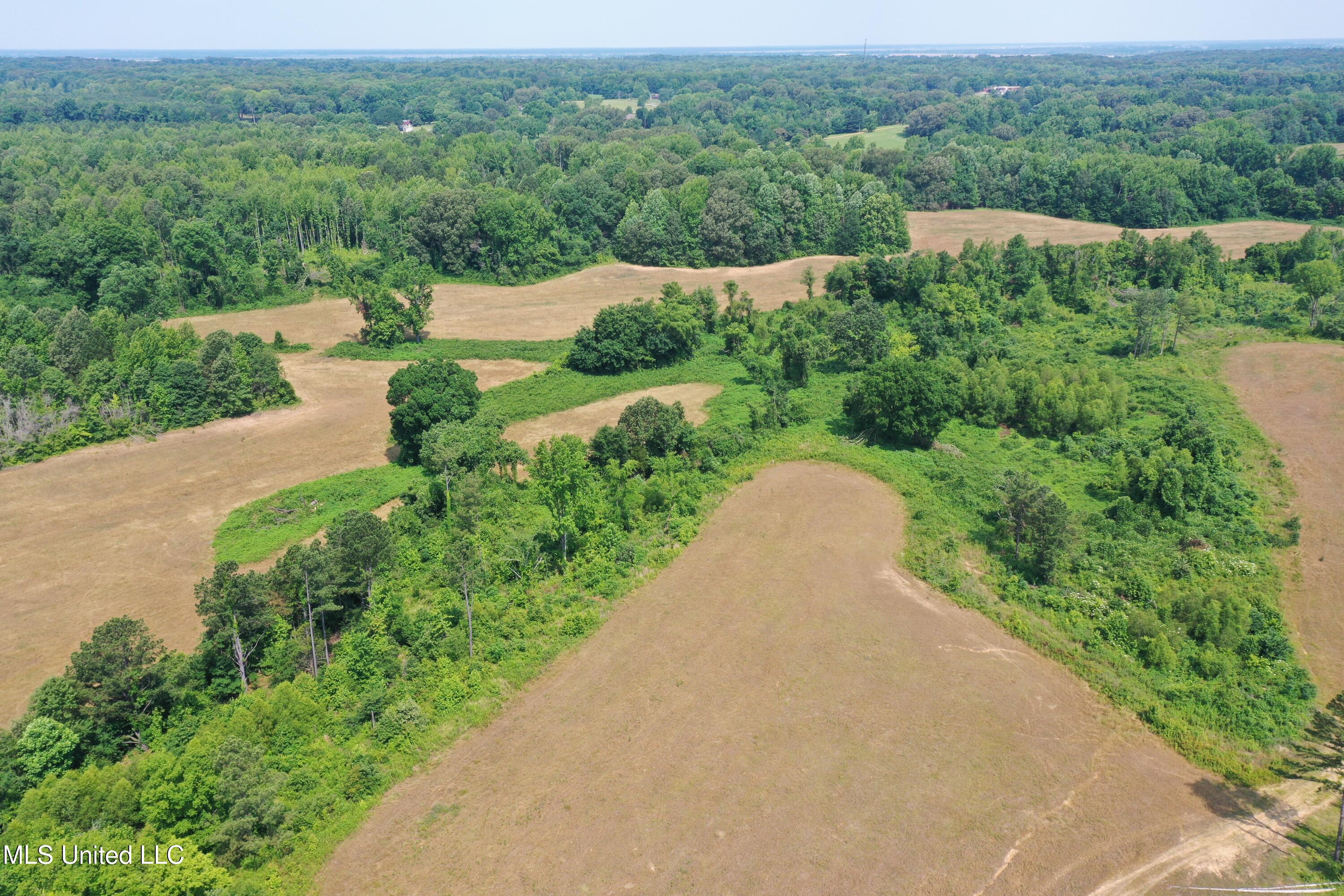101 Baldwin Road South Lake Cormorant, MS 38641 - Photo 9 of 46 DJI_0687