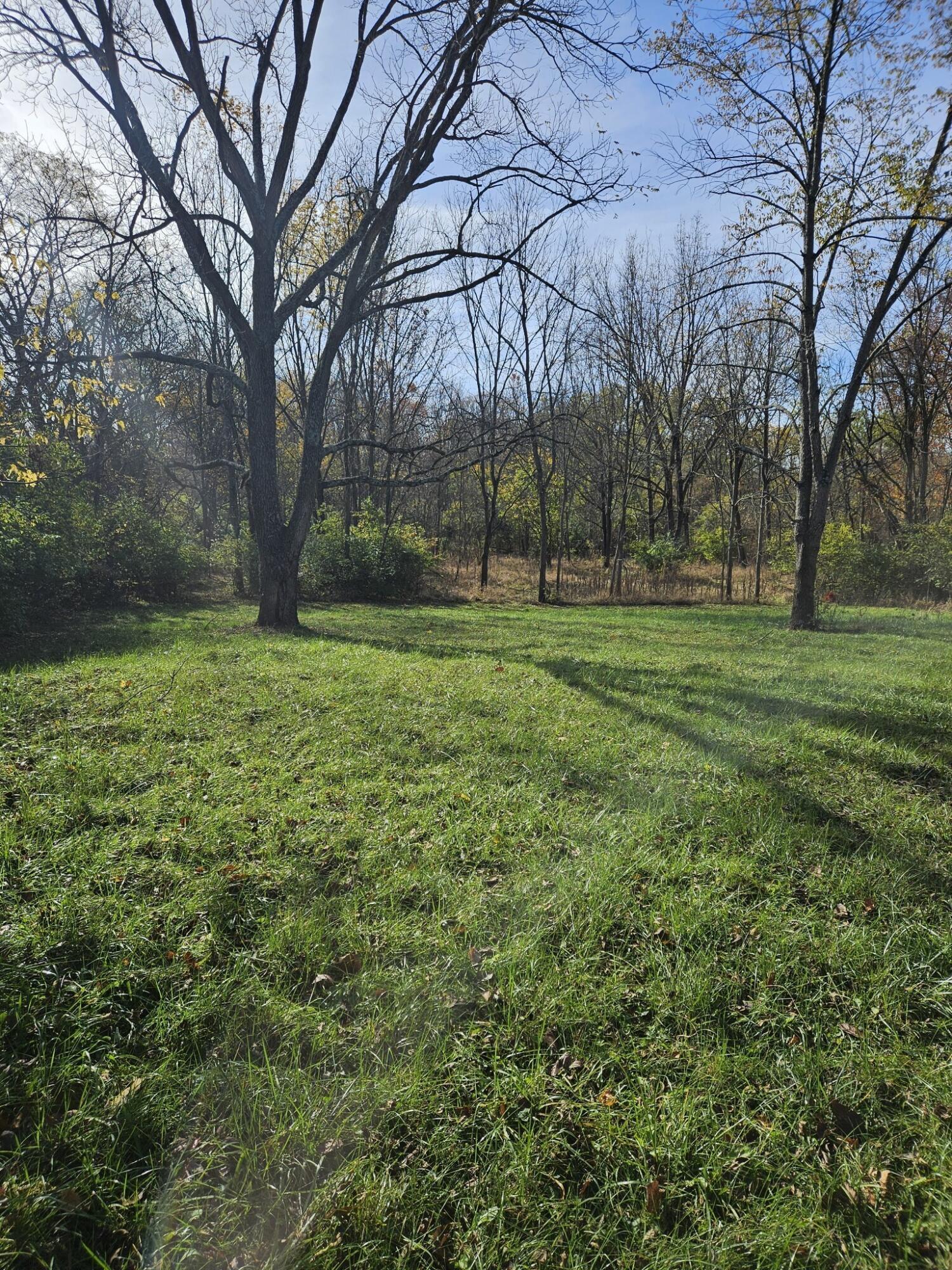2209 Grewell Road London, OH 43140 - Photo 5 of 17 1000025939