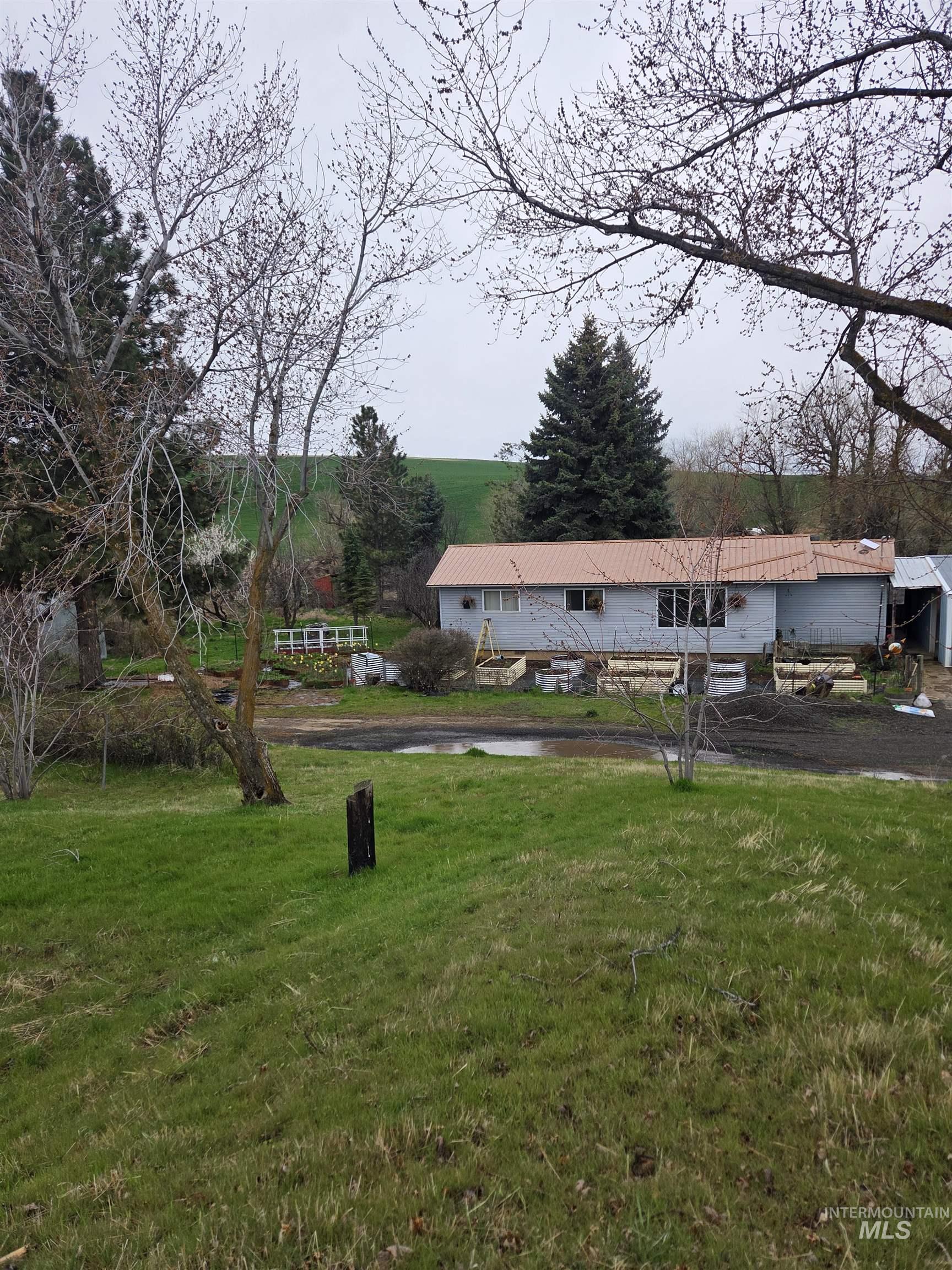 870 Dutch Flat Road Pomeroy, WA 99347 - Photo 3 of 33 View of green lawn
