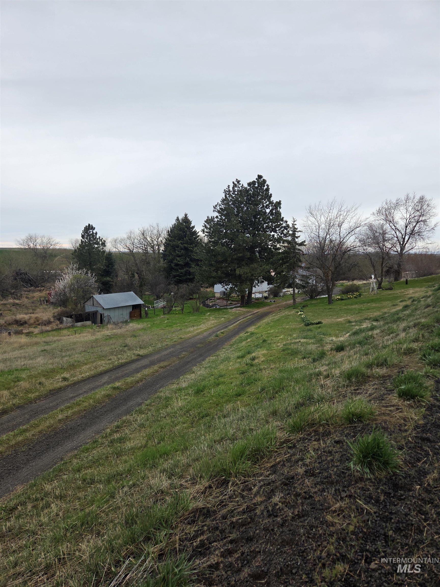 870 Dutch Flat Road Pomeroy, WA 99347 - Photo 6 of 33 View of grassy yard featuring a view of rural / pastoral area, an outdoor structure, and driveway