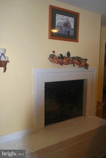 9337 Meetze Road Midland, VA 22728 - Photo 3 of 10 Fireplace