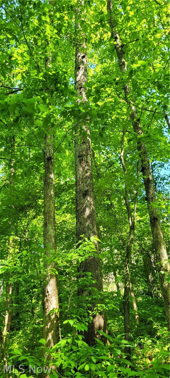 Hollis Clark Road Caldwell, OH 43724 - Photo 29 of 49