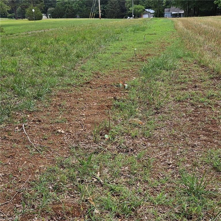 2025 Lace Knoll Road East Bend, NC 27018 - Photo 18 of 42