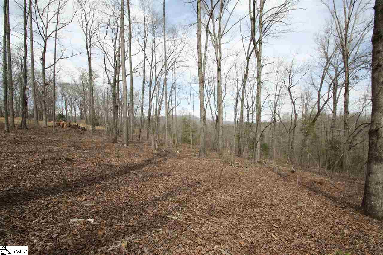 0 Hawkins Road Greer, SC 29651 - Photo 14 of 24