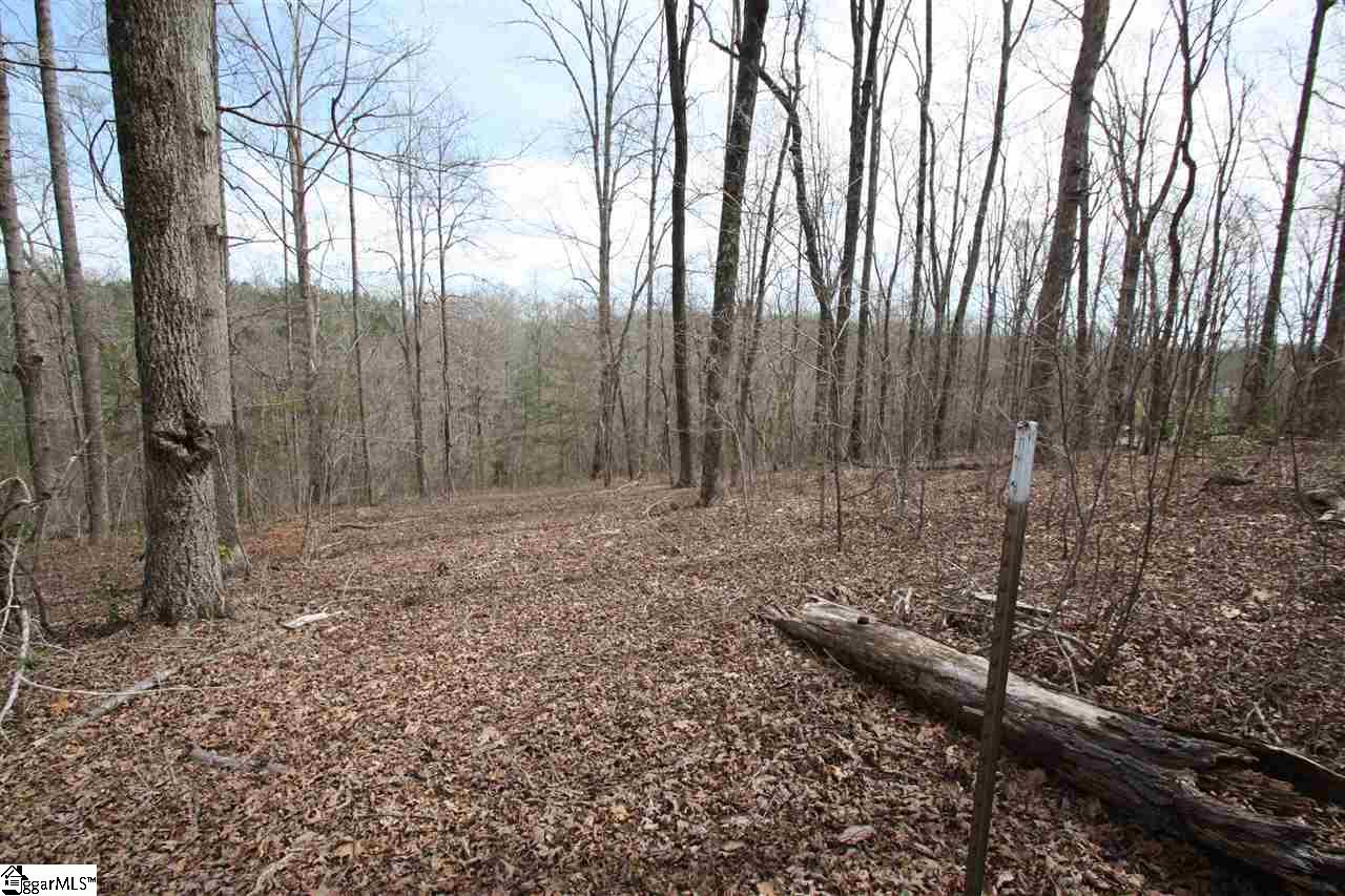 0 Hawkins Road Greer, SC 29651 - Photo 22 of 24