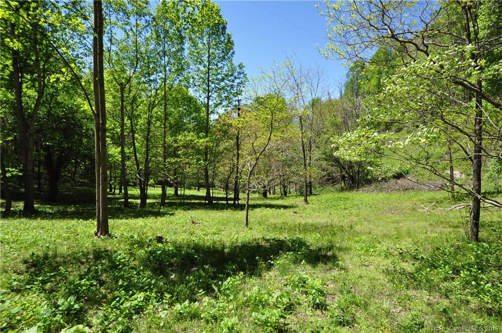 3215-3217 Baltimore Branch Road Hot Springs, NC 28743 - Photo 35 of 39 Gallery Image 35