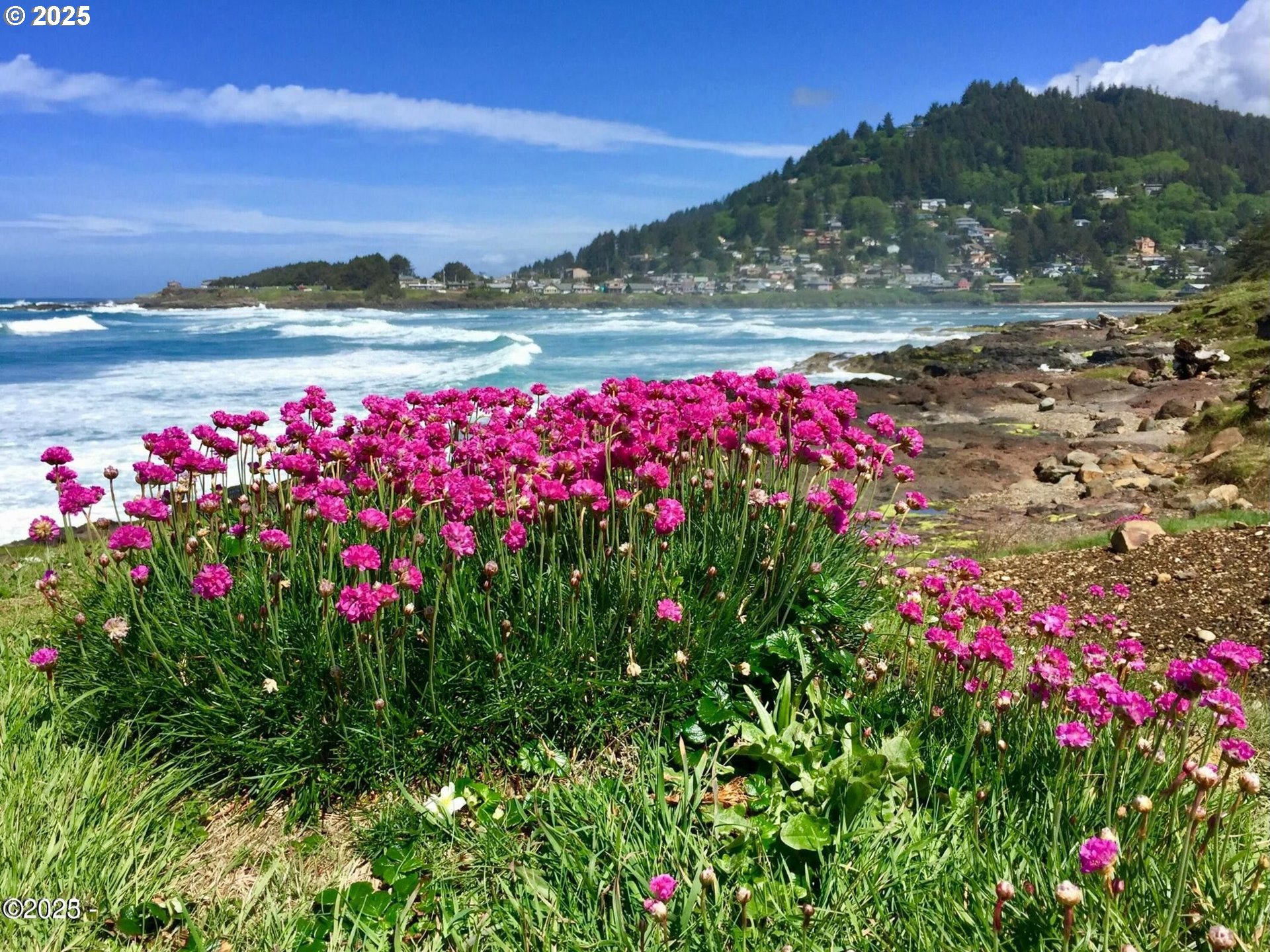2500 Overlook Drive Yachats, OR 97498 - Photo 6 of 9 Neighborhood Park