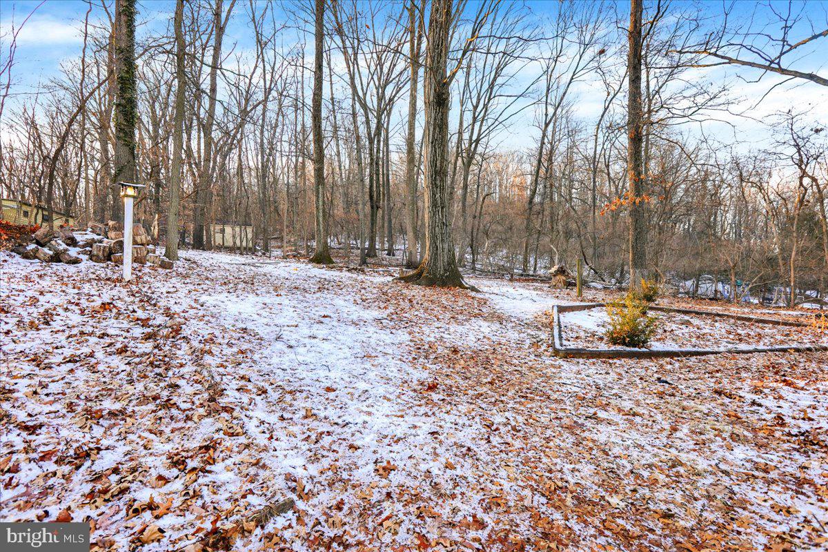 617 Seidels Run Road Leesport, PA 19533 - Photo 45 of 50