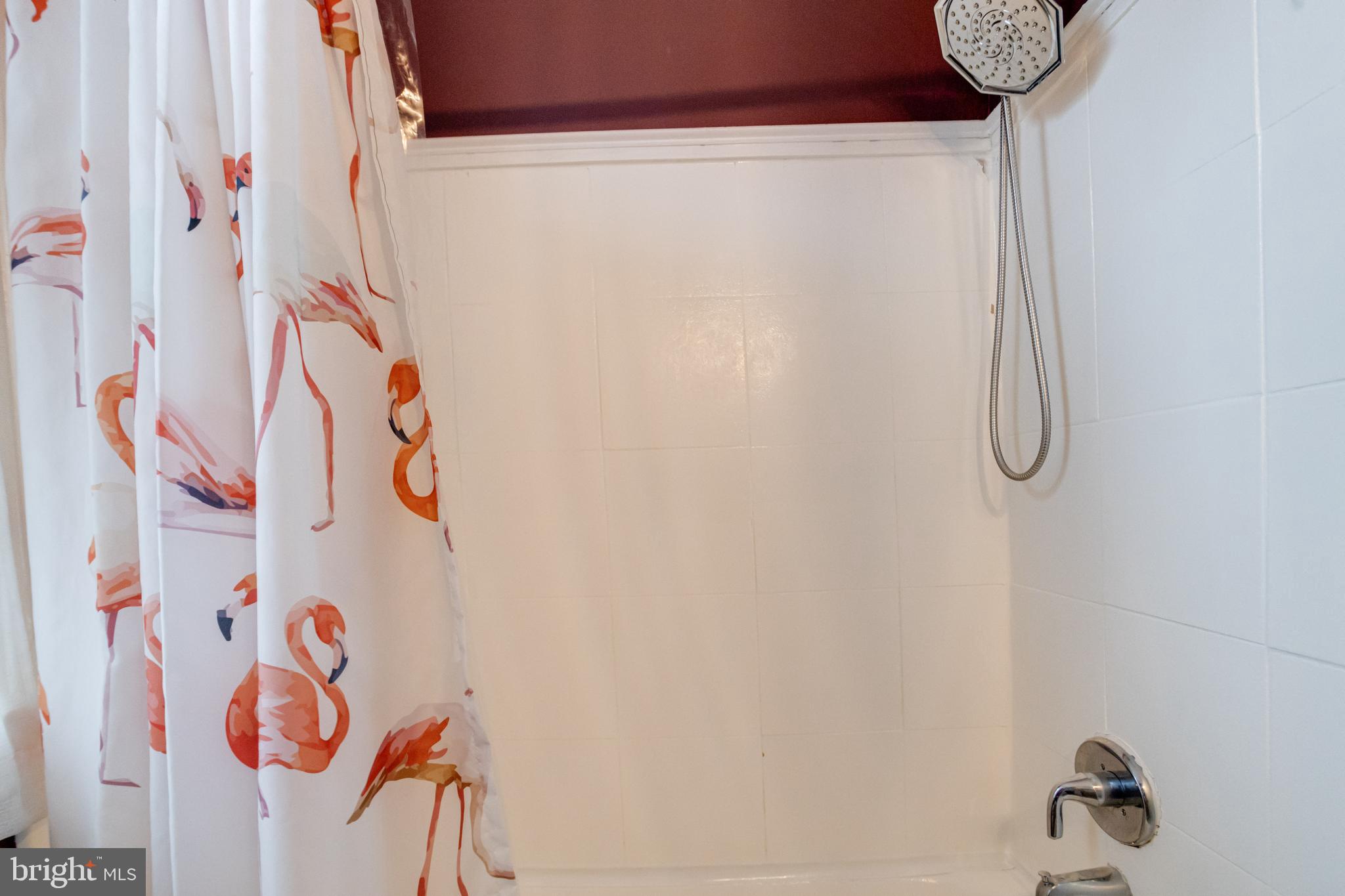 3901 Keswick Road Baltimore, MD 21211 - Photo 41 of 87 a bathroom with a shower curtain and a shower curtain