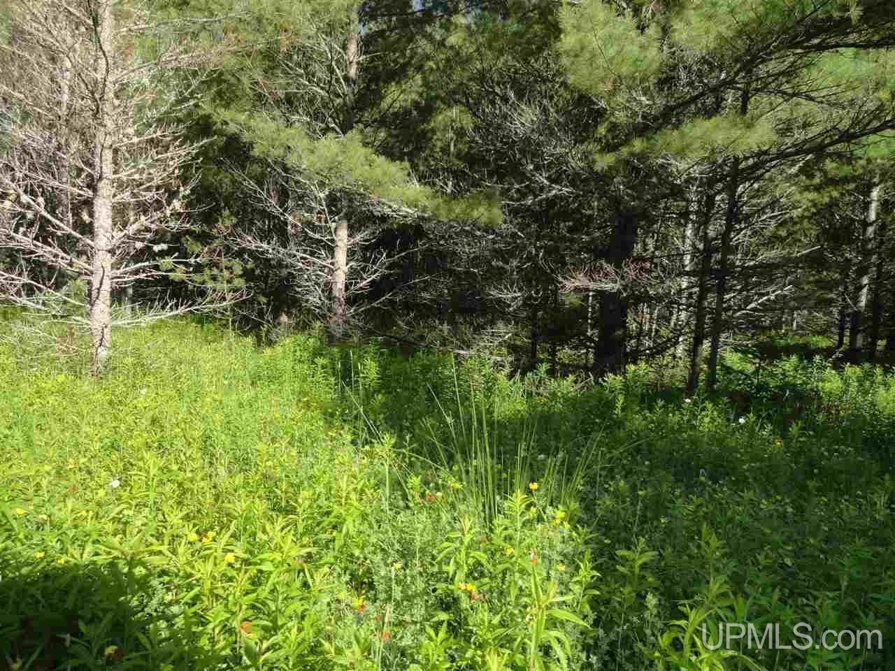 3 3 Mile Road Bruce Crossing, MI 49912 - Photo 3 of 12