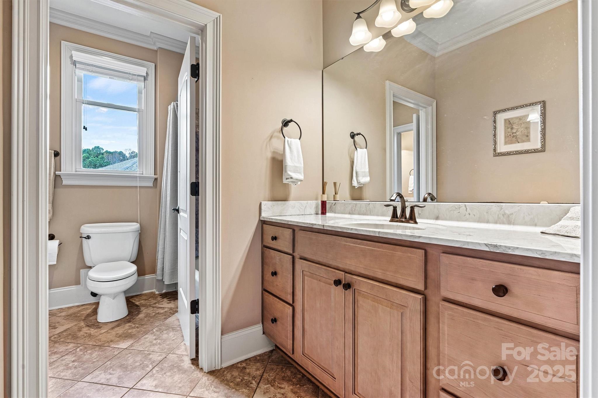336 Kenway Loop Mooresville, NC 28117 - Photo 36 of 45 a bathroom with a sink a toilet and a mirror