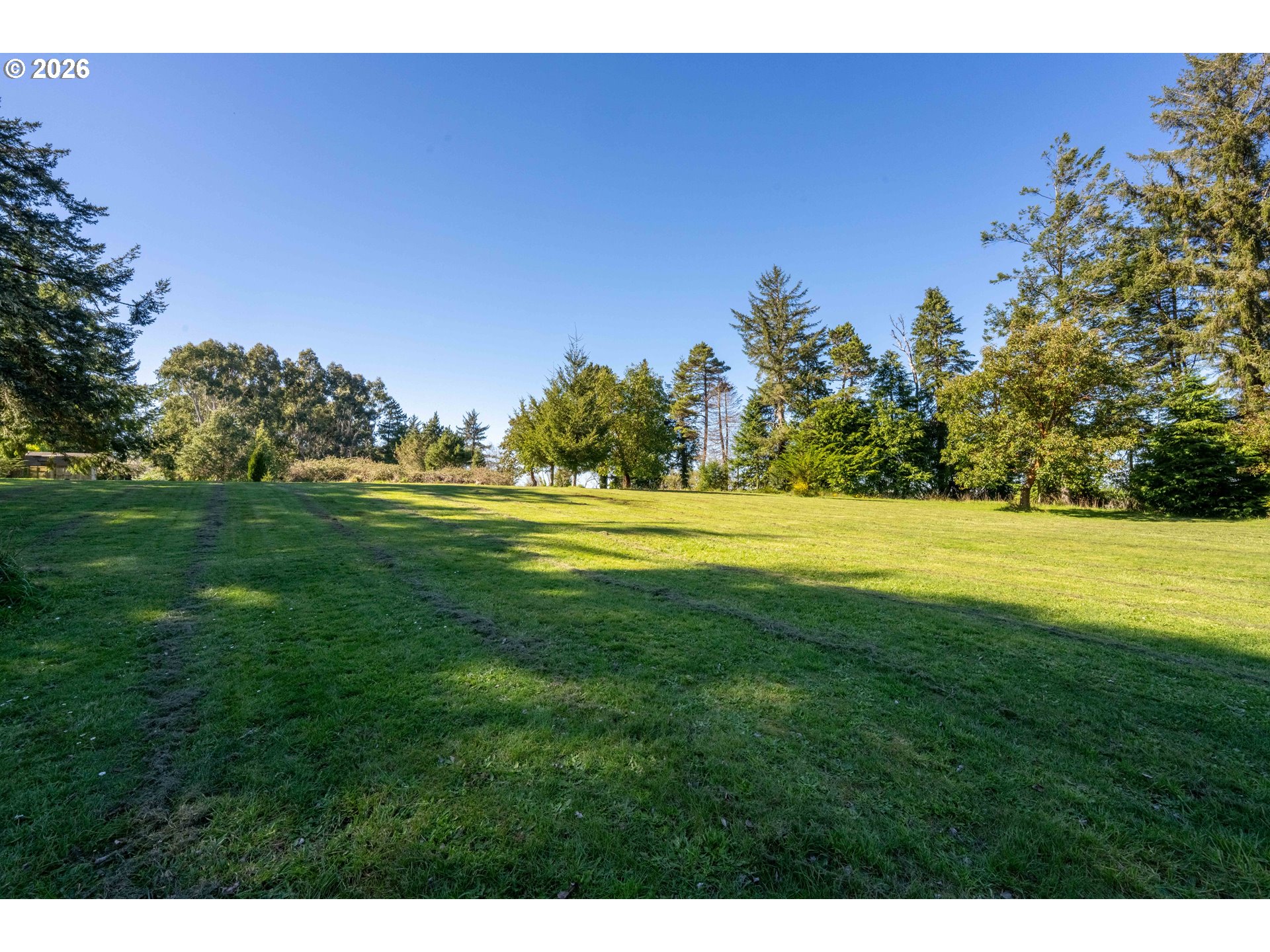 56358 Rusty Road Bandon, OR 97411 - Photo 30 of 41 a view of a big yard with large trees