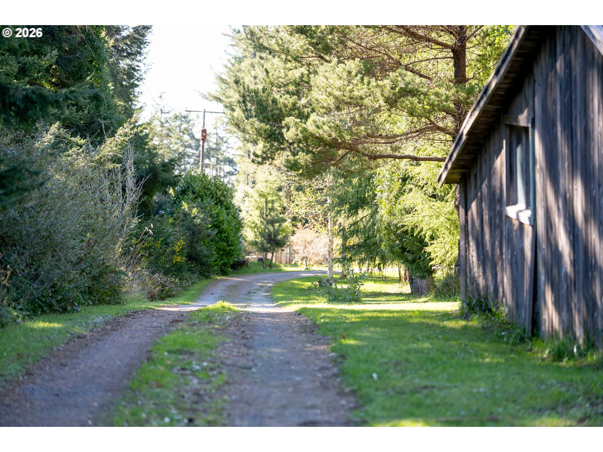 56358 Rusty Road Bandon, OR 97411 - Photo 34 of 41 a big yard with lots of green space and plants