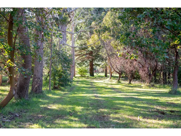 a view of a grassy field with trees