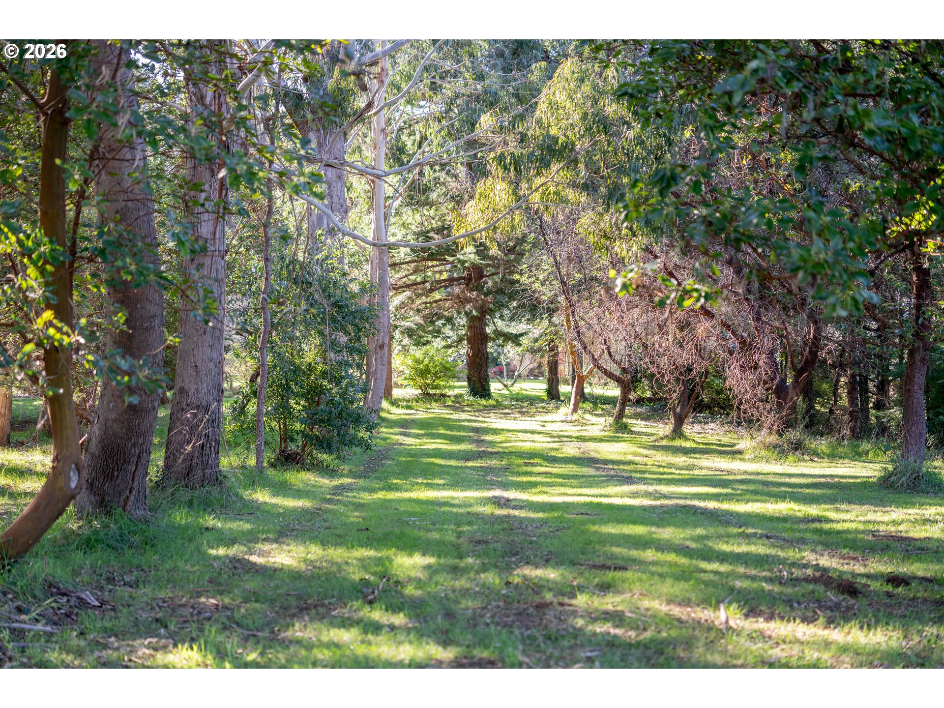 56358 Rusty Road Bandon, OR 97411 - Photo 35 of 41 a view of a grassy field with trees