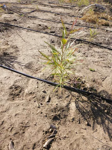 $750,000 | 2562 Donnil Lane, Fallbrook, CA 92028