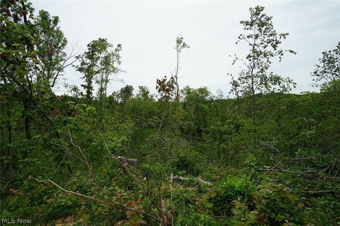 Ellis Run Road Cutler, OH 45724 - Photo 5 of 10 Gallery Image 5