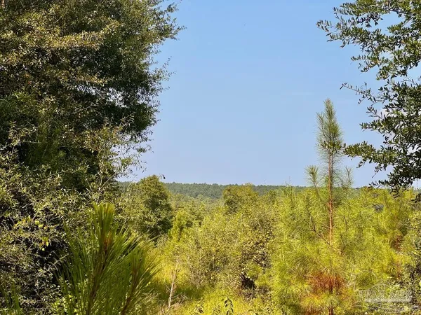 $190,000 | Lot 18 Morgans Branch, Molino, FL 32577