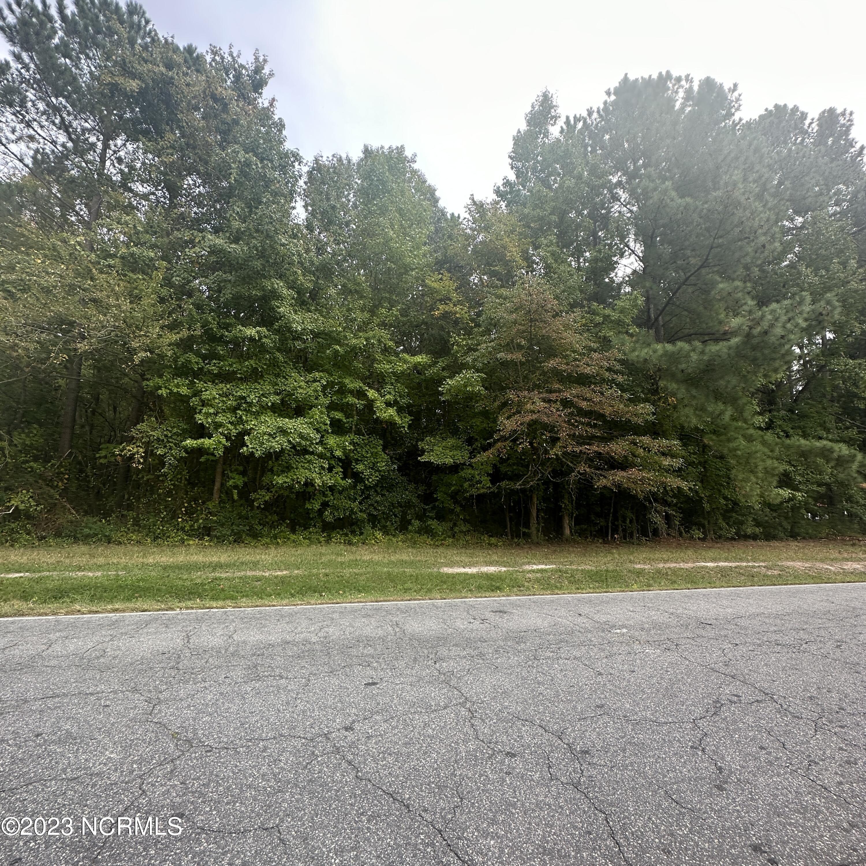 316 Old Hertford Road Edenton, NC 27932 - Photo 1 of 1 Road Front