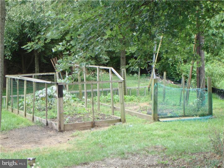 585 Bob White Road Wayne, PA 19087 - Photo 14 of 15 Back Yard