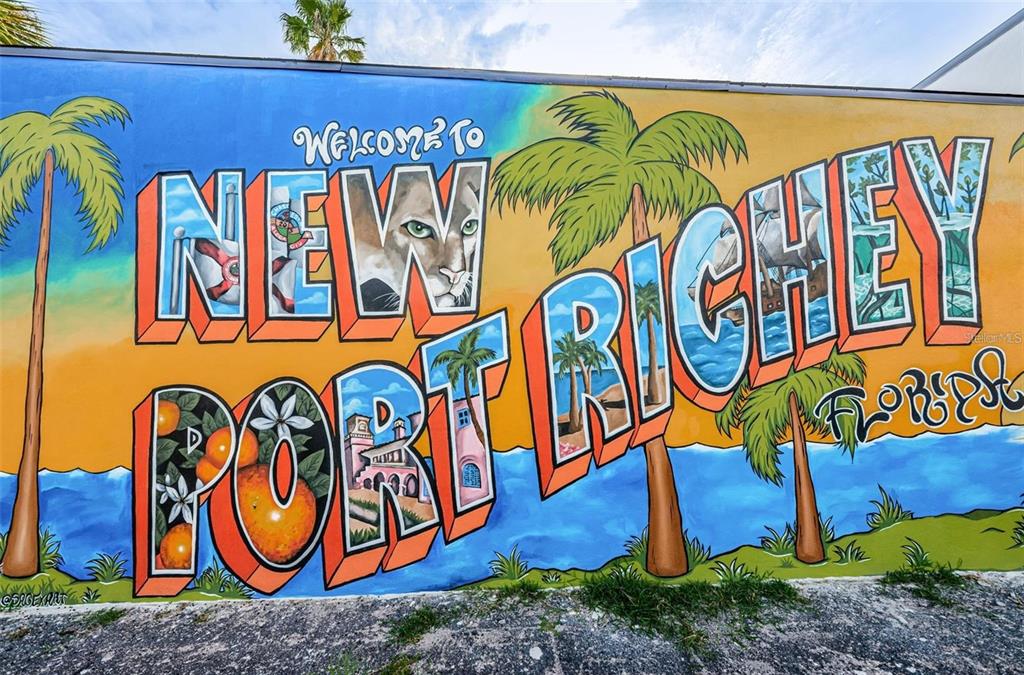 6243 Main Street New Port Richey, FL 34653 - Photo 9 of 49 Gallery Image 9